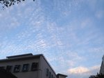 IMG_5576