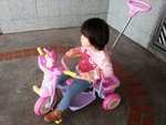 IMG_6008