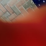 IMG_5079