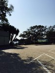 IMG_6362