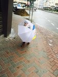 IMG_7610