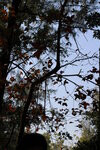 IMG_3615