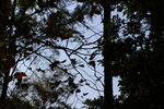 IMG_3617