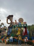 IMG_4525