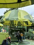 IMG_4539