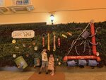 IMG_8659