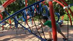 IMG_8719