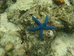 2007-11-04 Mabul Island 馬寶島 1373_resize