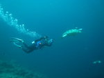 2007-11-05 Sipadan Island 詩巴丹 1576_resize
