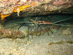 2007-11-05 Sipadan Island 詩巴丹 1590_resize