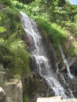 IMG_0469