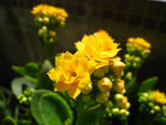 IMG_1751