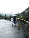 行錯路!後來知道跟住隻狗行就無錯!