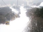IMG_4036