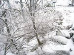 IMG_4056