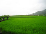 沓部