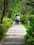 陽明公園