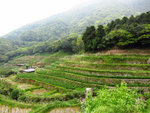 竹子湖