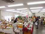和歌山_紀之國水果村