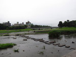 京都_鴨川