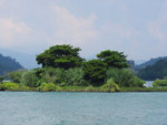 IMG_7554