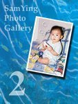 samying_cover_2.sized