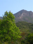 烏交騰20080316_06