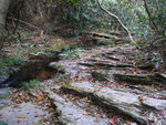 烏交騰20080316_07