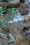 馬灣公園 12 Jan 2008_031