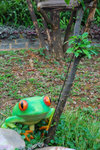 馬灣公園 12 Jan 2008_033