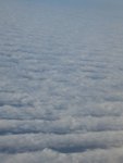 IMG_0009