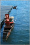 IMG_4303