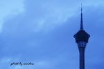 IMG_2476
