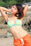 Windy033