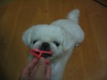 ｂoｂo１