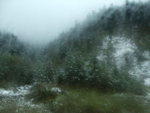 DSCF1140