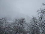 DSCF1156