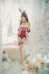 DSC09532