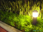 PICT0392