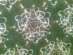 20080319768