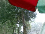 20080322815