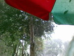 20080322816