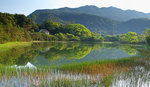 三椏村