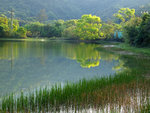 三椏村