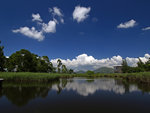 濕地公園