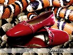red shoes-4