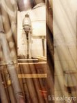 Bamboo-1