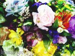 Flower-5
