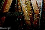 Steel-1