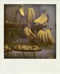 20090408427-pola